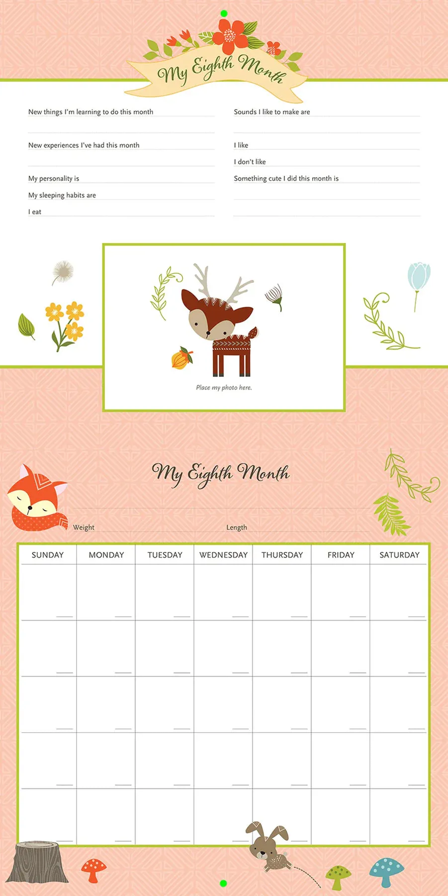 My Life as a Baby: A First-Year Calendar (Woodland Friends)